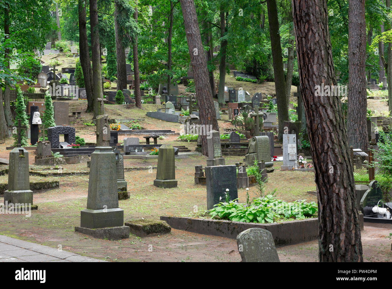 Vilnius Friedhof, Aussicht auf den gepflegten Antakalnis Friedhof am Stadtrand von Vilnius, Litauen. Stockfoto