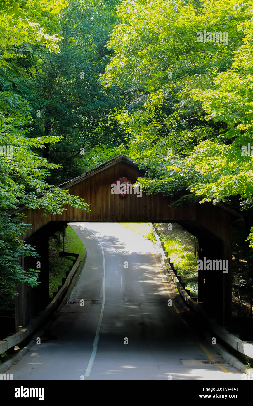 Brücke im nördlichen Michigan an der National Lakeshore der Sleeping Bear Dunes in Empire, Michigan auf Pierce Stocking Scenic Drive Stockfoto