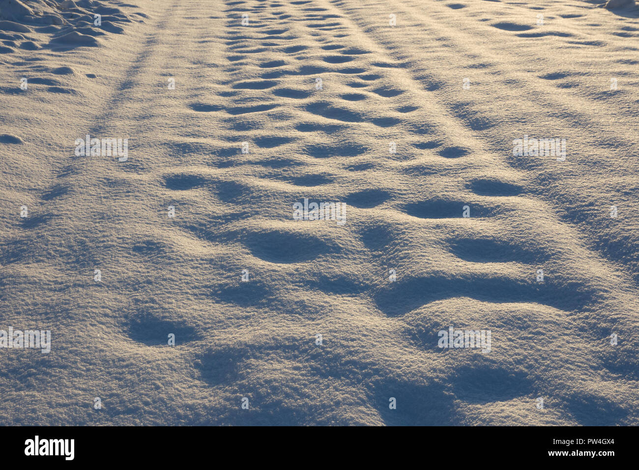 Muster und Vertiefungen in liegender Schnee im Abendlicht Stockfoto