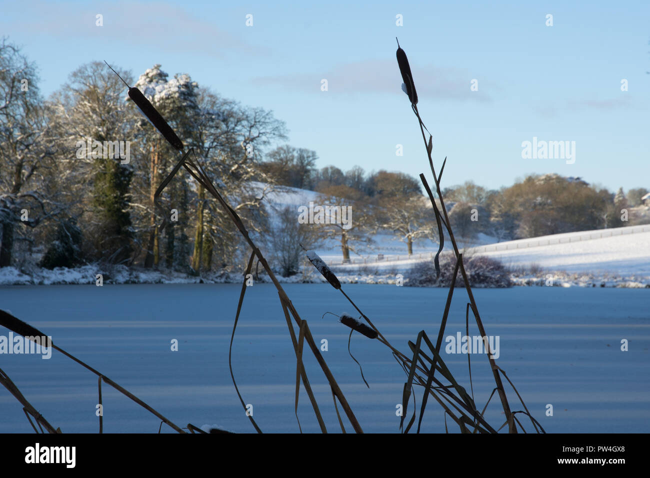 Gefrorenen See in der englischen Landschaft im Winter mit Schnee bedeckt. In der Nähe von Shenington, Oxfordshire genommen Stockfoto