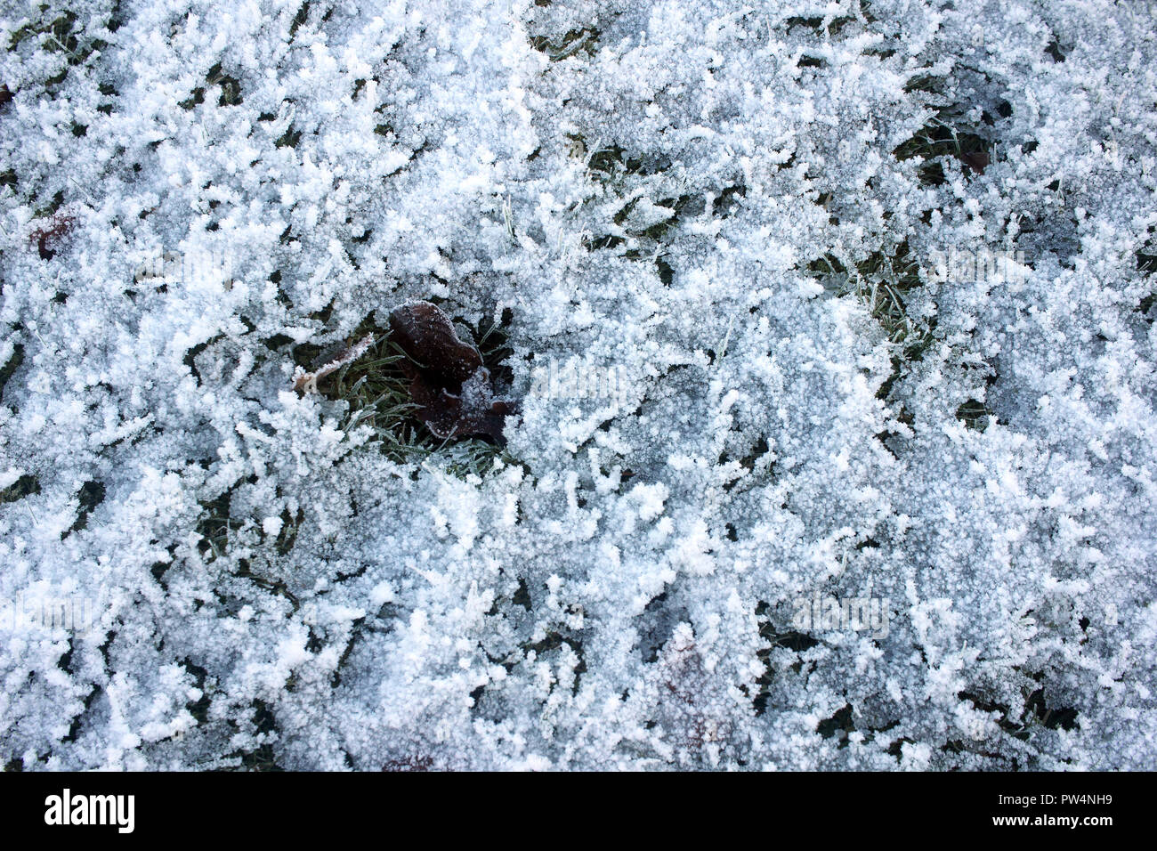 Winter, gefroren Natur. Stockfoto