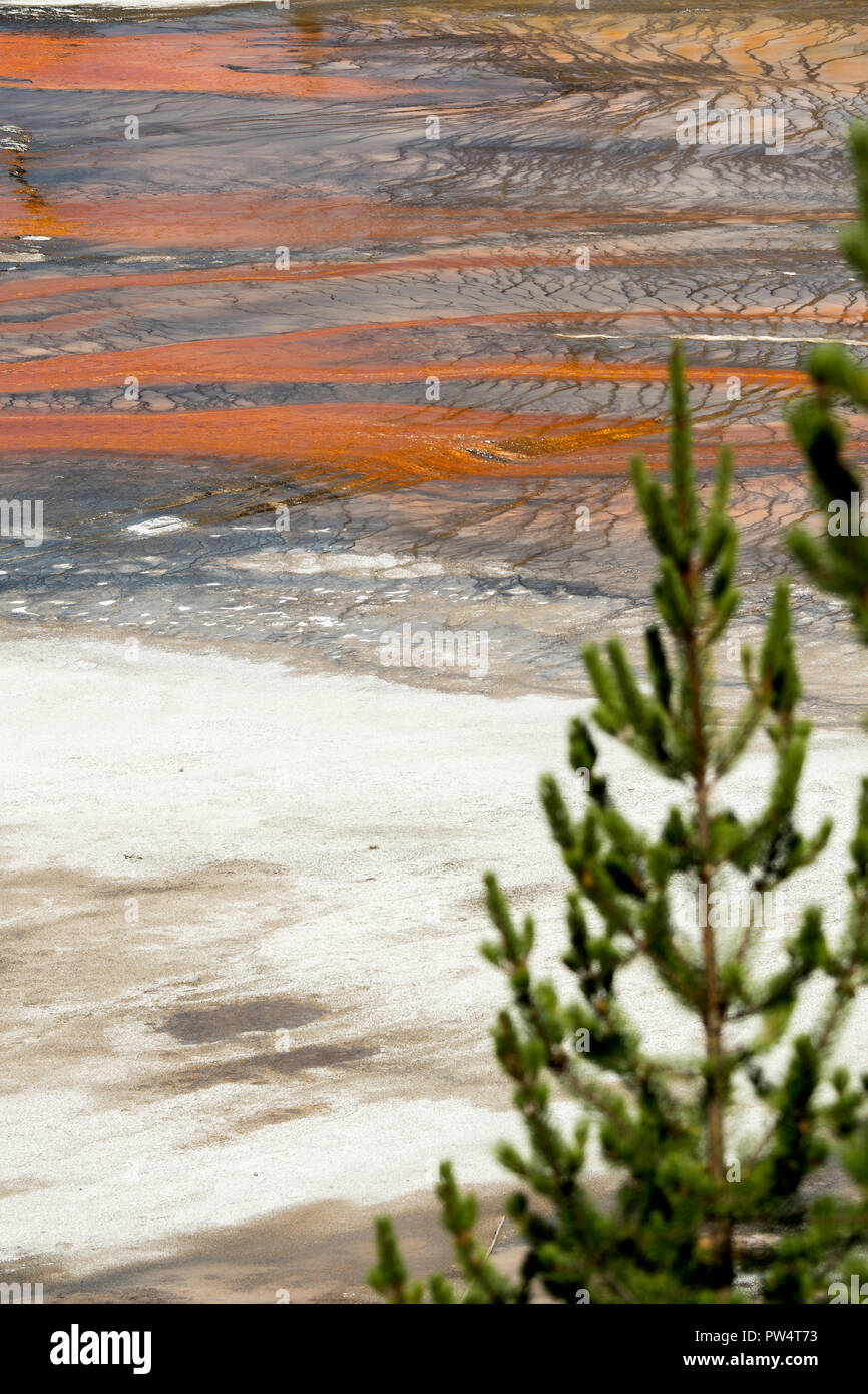 Grand Prismatic Spring, Yellowstone National Park in Wyoming Stockfoto