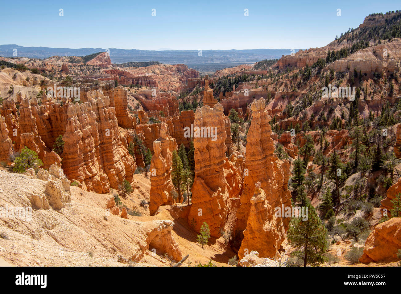 Bryce Canyon in Utah Stockfoto
