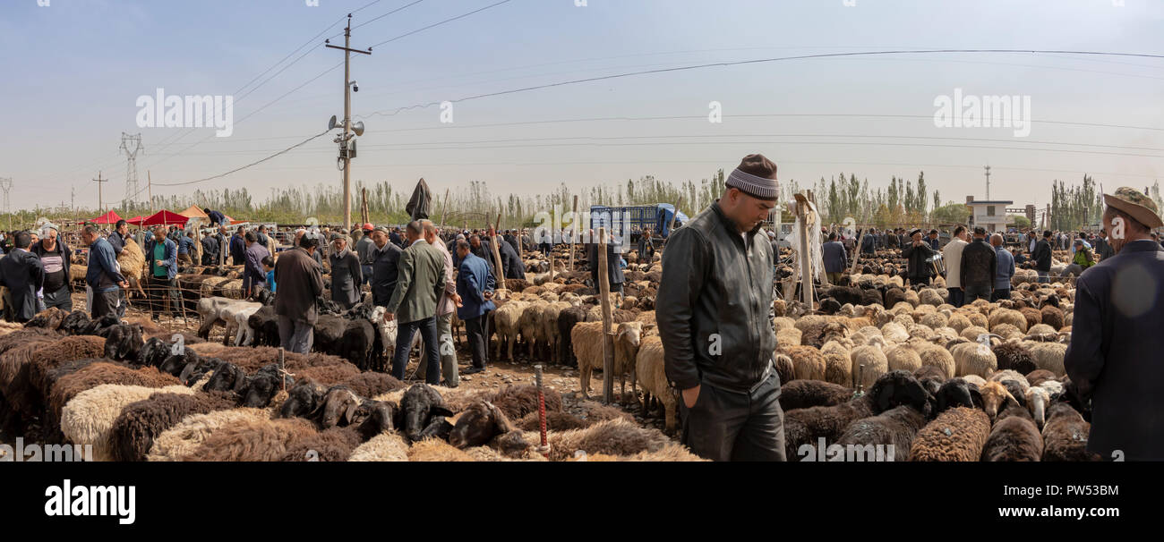 Kashgar, Xinjiang, China - 16. September 2018: Panorama der uigurischen Männern feilschen Schafe am Sonntag Vieh Basar und Markt in Kashgar, oder Stockfoto