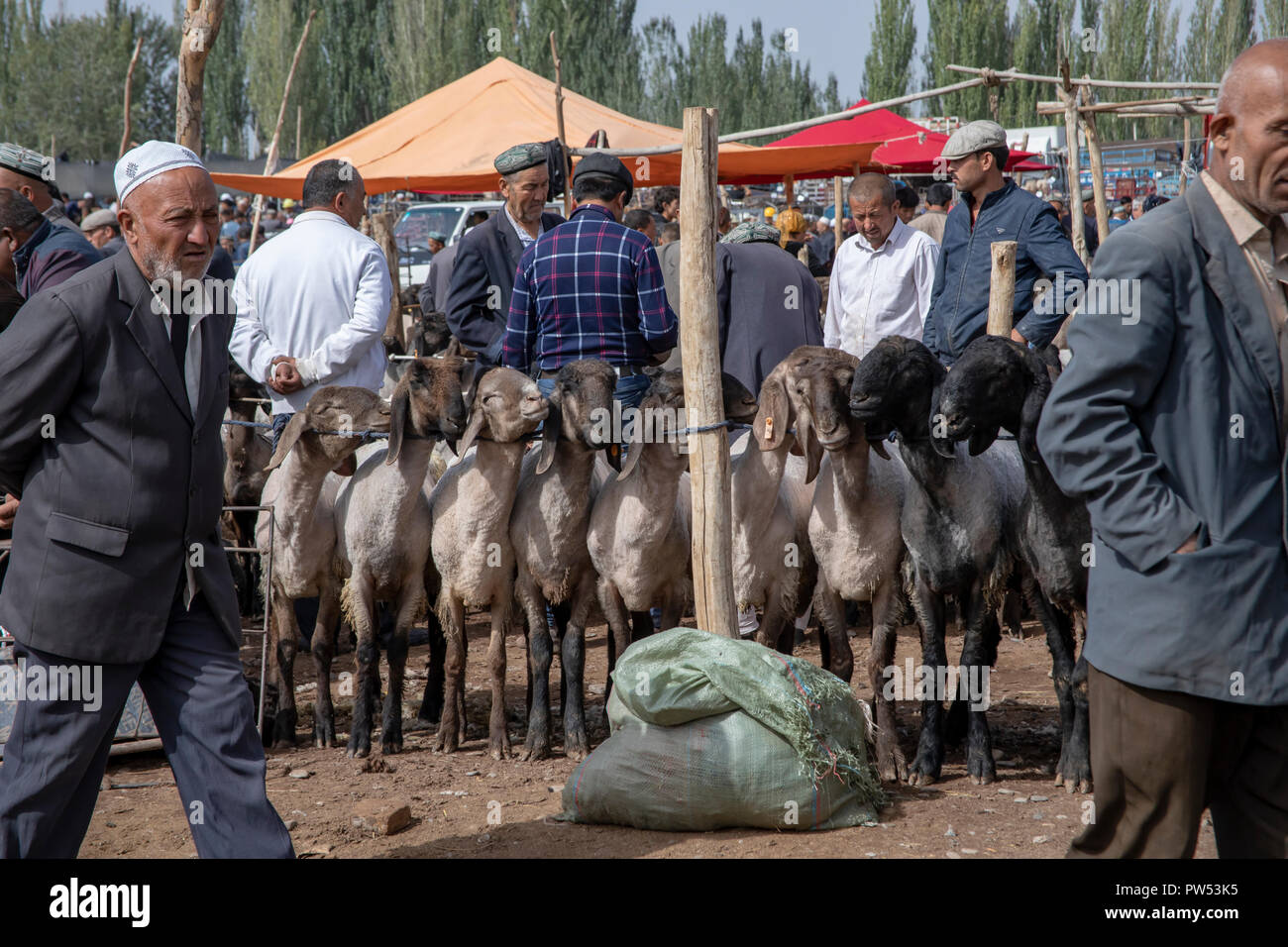 Kashgar, Xinjiang, China - 16. September 2018: Käufer und Verkäufer feilschen Schafe am Sonntag Vieh Basar und Markt in Kashgar, oder Kashi Stockfoto