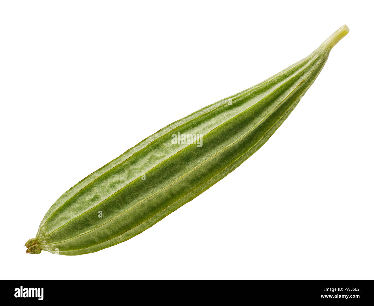 Frische Luffa acutangula Obst auf weißem Hintergrund, gehören Stiftwerkzeug Freistellungspfad Stockfoto
