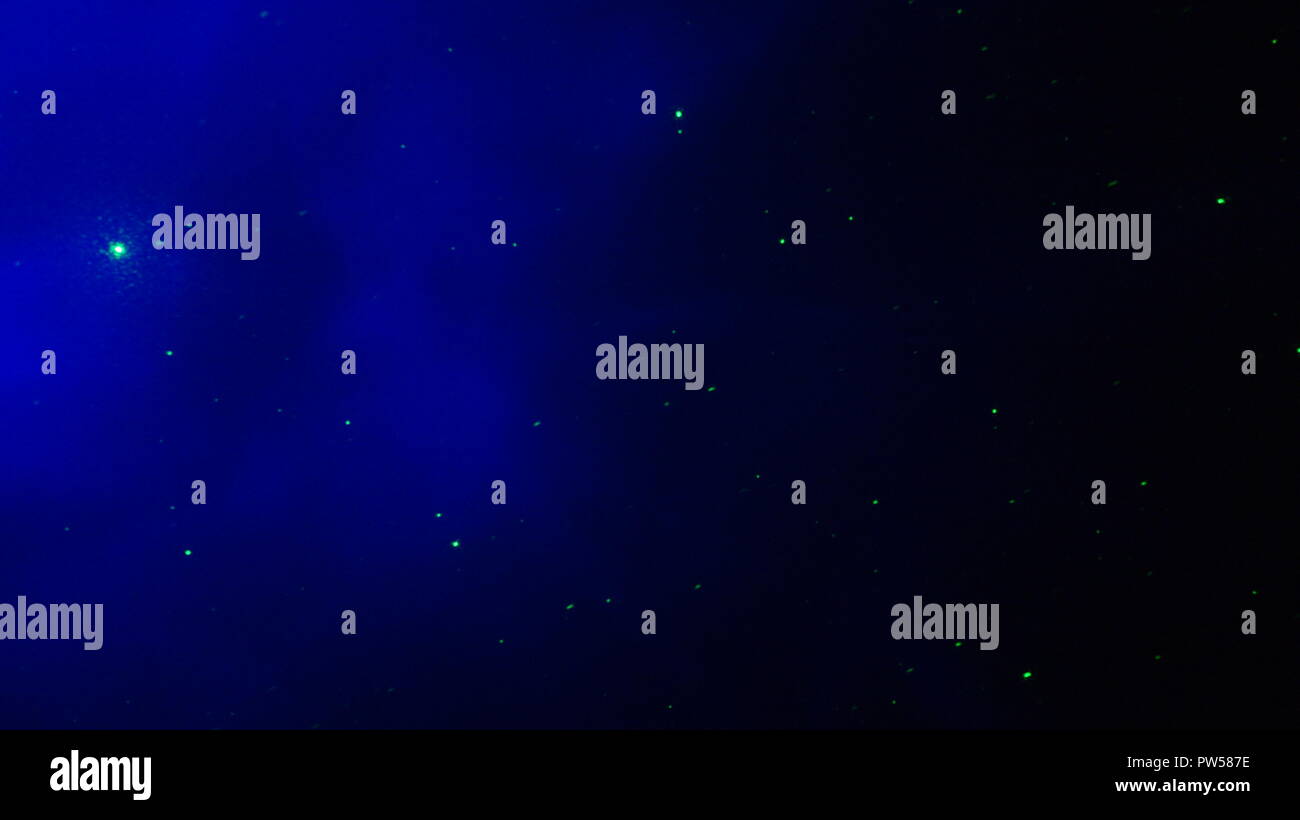 Blaue und grüne Laserlicht Sterne auf schwarzem Hintergrund Stockfoto