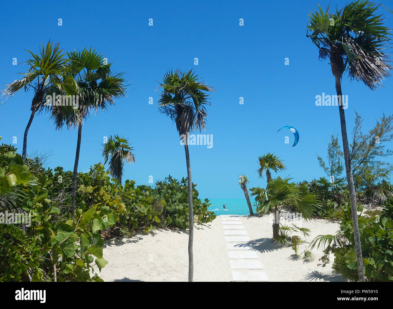 Ein kiteboarder Surft durch einen weißen Stein weg Linien mit Palmen, die zu den Karibischen Meer in Long Bay Beach, Providenciales, Turks- und Caicosinseln Stockfoto