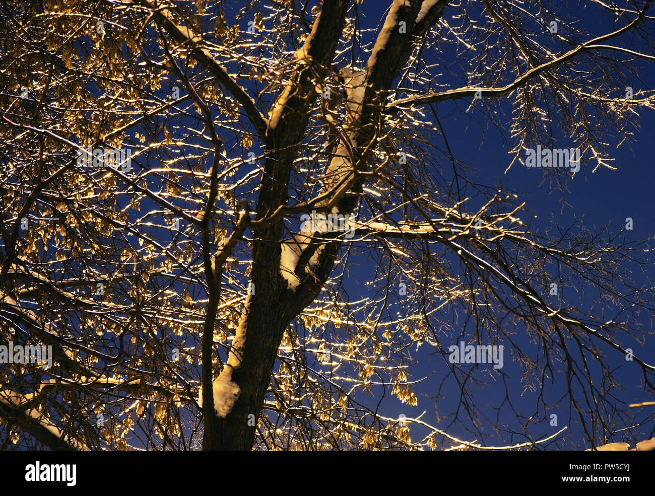Moskau tverskoy boulevard am abend Fotos und Bildmaterial in hoher