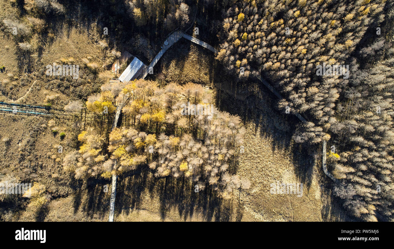 Shijiazhuang. 11 Okt, 2018. Luftbild am Okt. 11, 2018 zeigt Herbst Landschaft des Tuoliang Berg in Pingshan Grafschaft von Shijiazhuang, nördlich der chinesischen Provinz Hebei. Credit: Pu-Dongfeng/Xinhua/Alamy leben Nachrichten Stockfoto