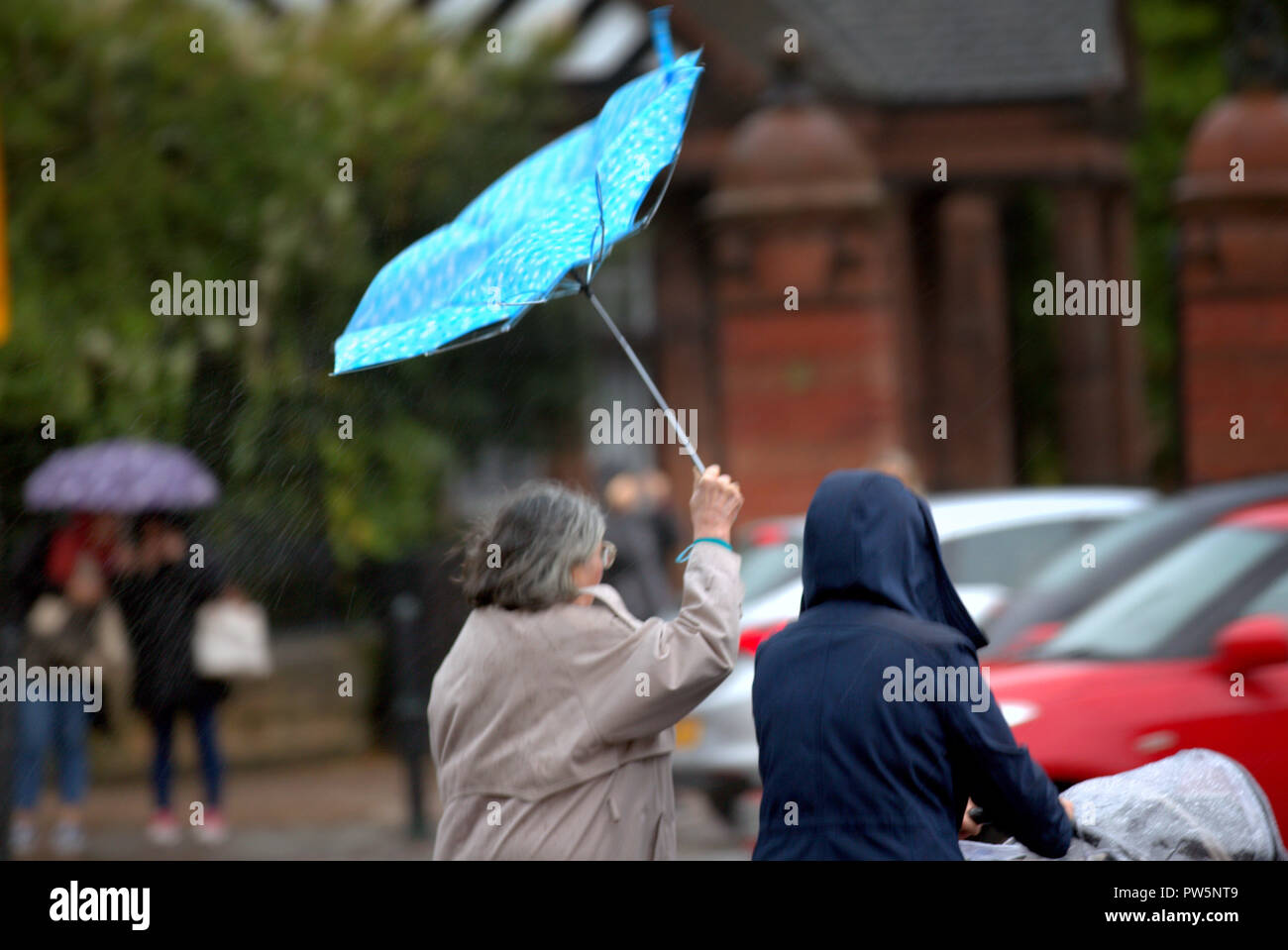 Glasgow, Schottland, Großbritannien, 12. Oktober, 2018. UK Wetter: Mit Bernstein Warnungen für Regen und gelb Warnung für Wind als Sturm Callum brach schließlich am späten Vormittag in der Stadt als Einheimische in den Botanischen Garten gegangen wie starke Winde mit starkem Regen kam wie erwartet. Credit: Gerard Fähre / alamy Leben Nachrichten Stockfoto