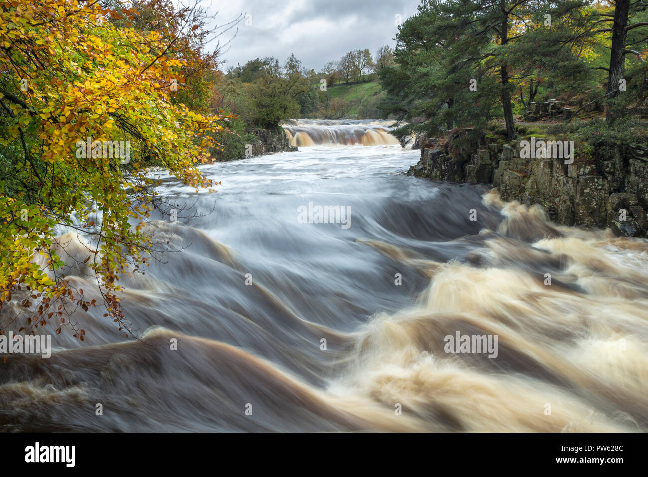 Geringe Kraft, Fluss-T-Stücke, Teesdale, County Durham. Samstag, 13. Oktober 2018. UK Wetter. Touristen genießen das Schauspiel der High River bei gleichzeitig äußerst geringem Tritt am Fluss-T-Stücke als Sturm Callum bringt starken Regen in den Norden Englands. David Forster/Alamy leben Nachrichten Stockfoto