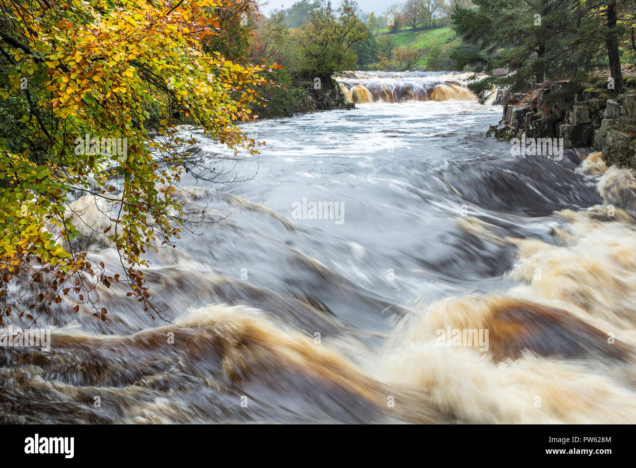 Geringe Kraft, Fluss-T-Stücke, Teesdale, County Durham. Samstag, 13. Oktober 2018. UK Wetter. Touristen genießen das Schauspiel der High River bei gleichzeitig äußerst geringem Tritt am Fluss-T-Stücke als Sturm Callum bringt starken Regen in den Norden Englands. David Forster/Alamy leben Nachrichten Stockfoto