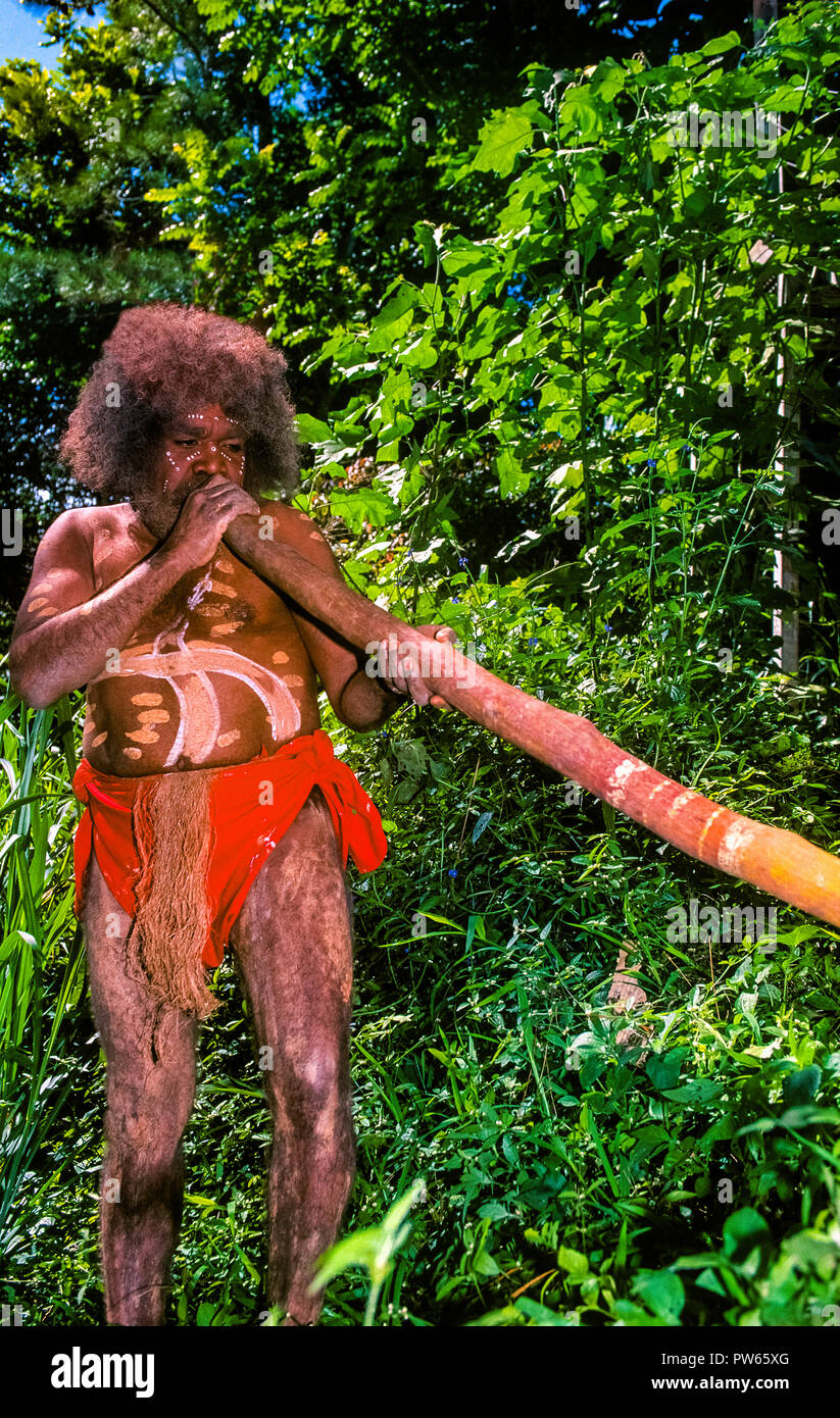 Australien - Ureinwohner spielt das didjeridoo Stockfoto