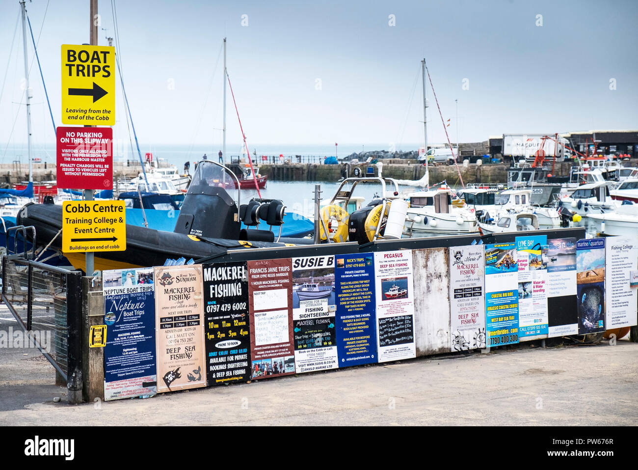 Hinweisschilder Werbung Angeln in der Küstenstadt Lyme Regis in Dorset. Stockfoto