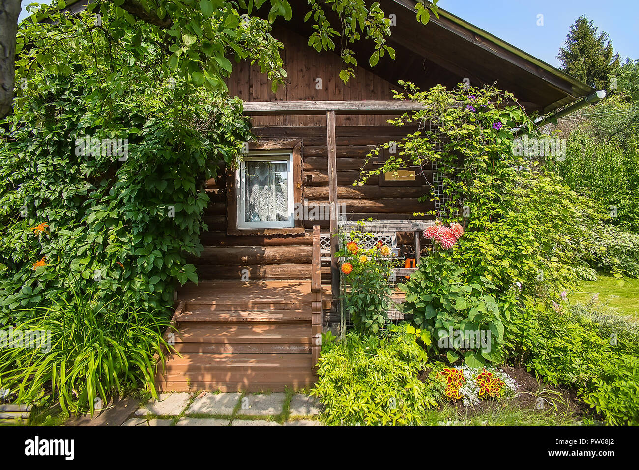 Land Holzhaus mit blühenden Garten Stockfoto