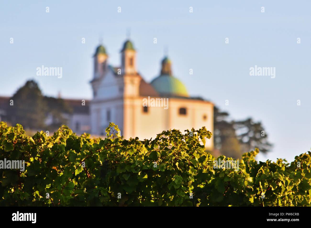 Kirche der Leopoldsberg hinter den Weinbergen, Wien, Österreich Stockfoto