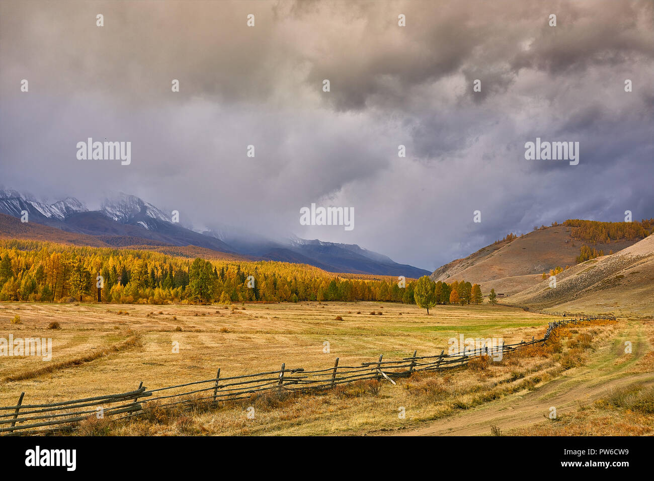 Herbst Landschaft. Schönheit der Natur Konzept Hintergrund. Stockfoto