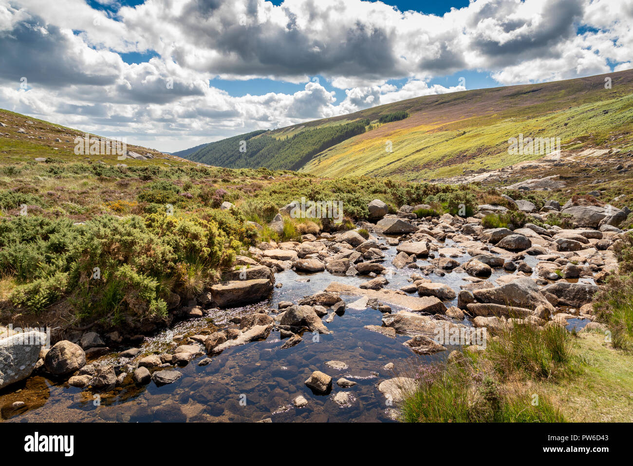 Glendasan Tal, Brockagh, Co Wicklow, Irland Stockfoto