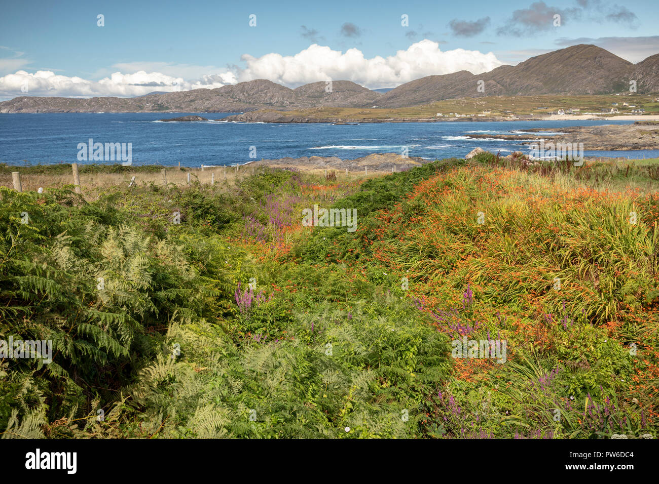 Blick in Richtung Allihies, Beara Halbinsel, County Cork, Irland, Europa. Stockfoto