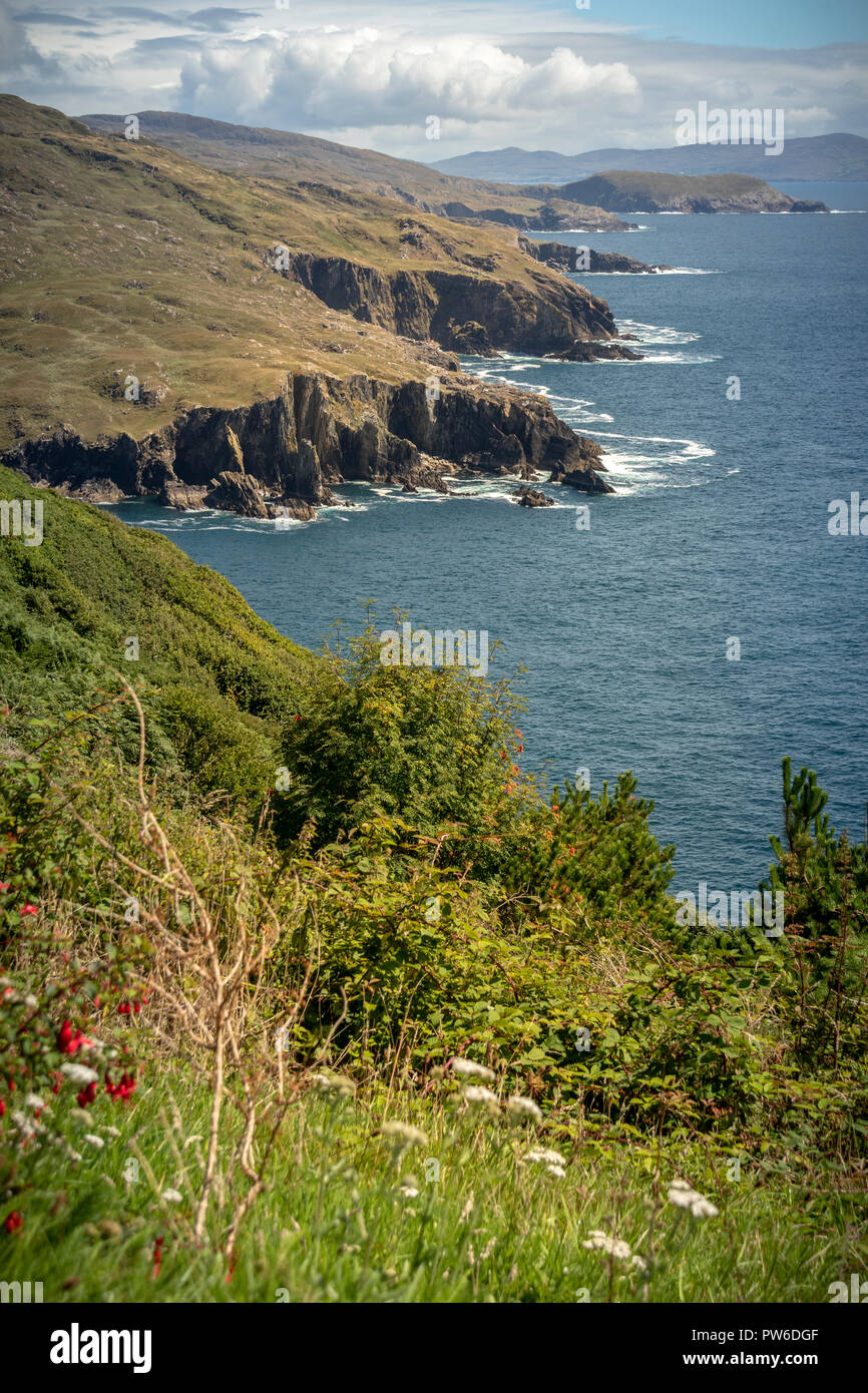 Blick auf die zerklüftete Küste der Halbinsel Beara, County Cork, Irland, Europa. Stockfoto