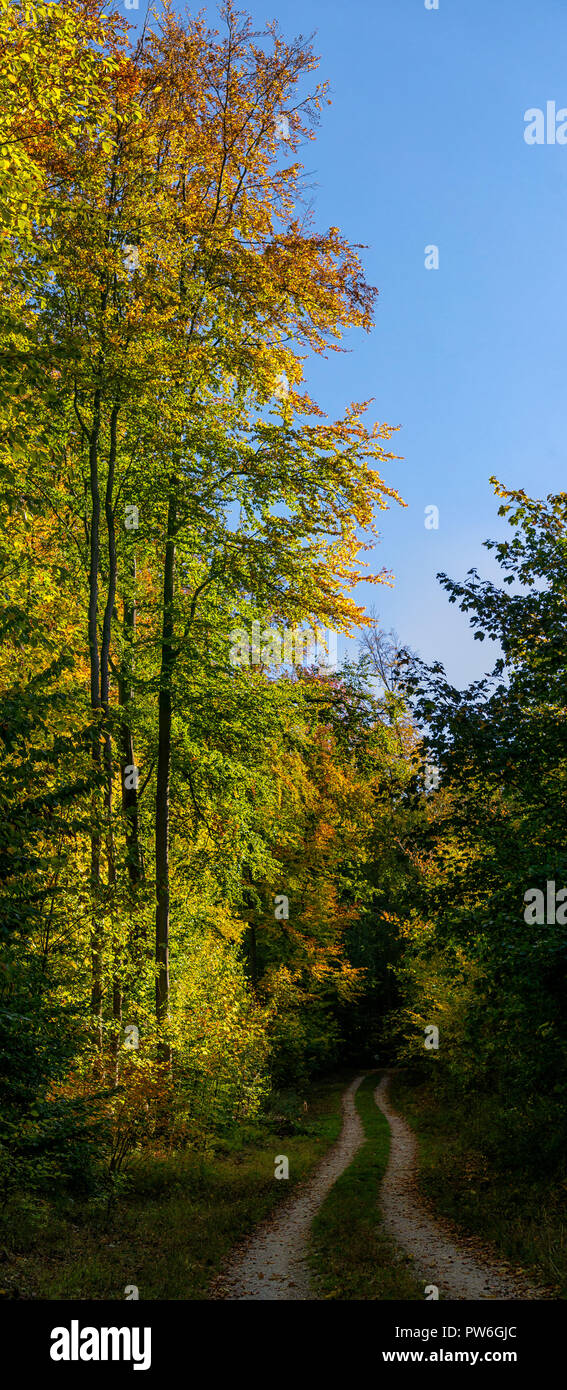 Herbst Stockfoto