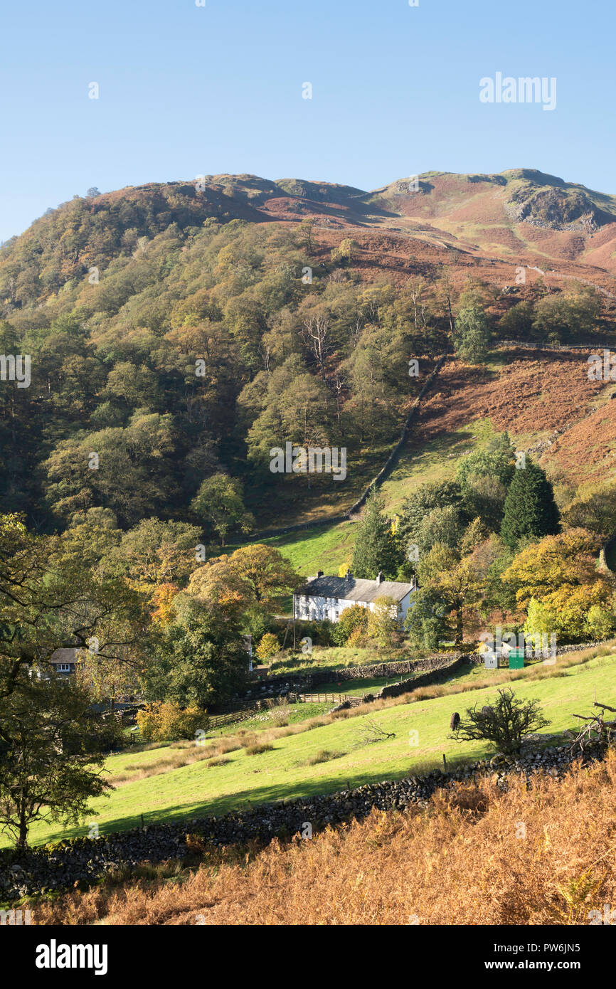 Blick hinunter auf das Dorf Seatoller, Borrowdale, Cumbria, England, Großbritannien Stockfoto