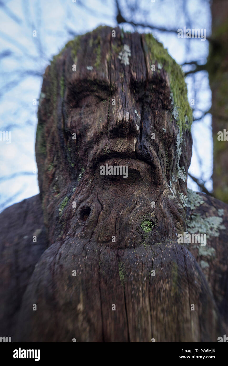 Ein Holz sculpure eines mans Gesicht in Moos bedeckt. Stockfoto