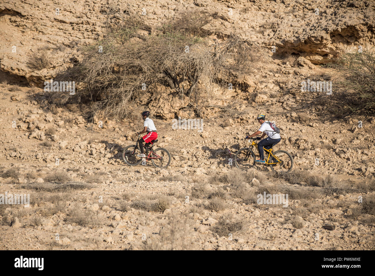 Mountainbike Rennen, Langlauf, Radfahren durch unwegsames Gelände. Muscat, Oman Stockfoto