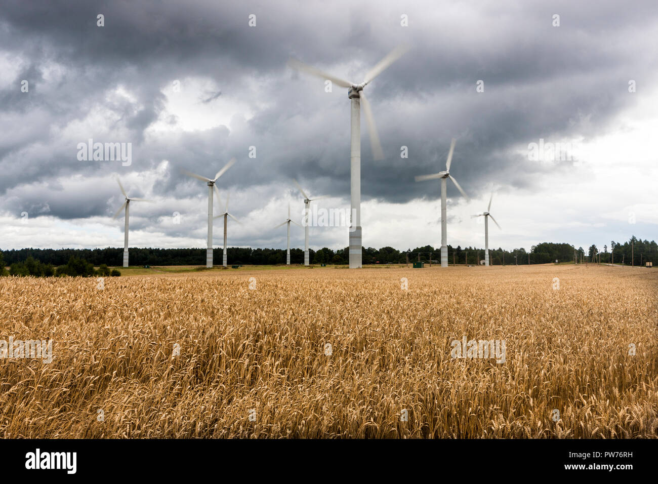 Kuldiga, Lettland. 21 August, 2014. Windkraftanlagen auf landwirtschaftlichen Flächen außerhalb Kuldiga, Lettland. Stockfoto