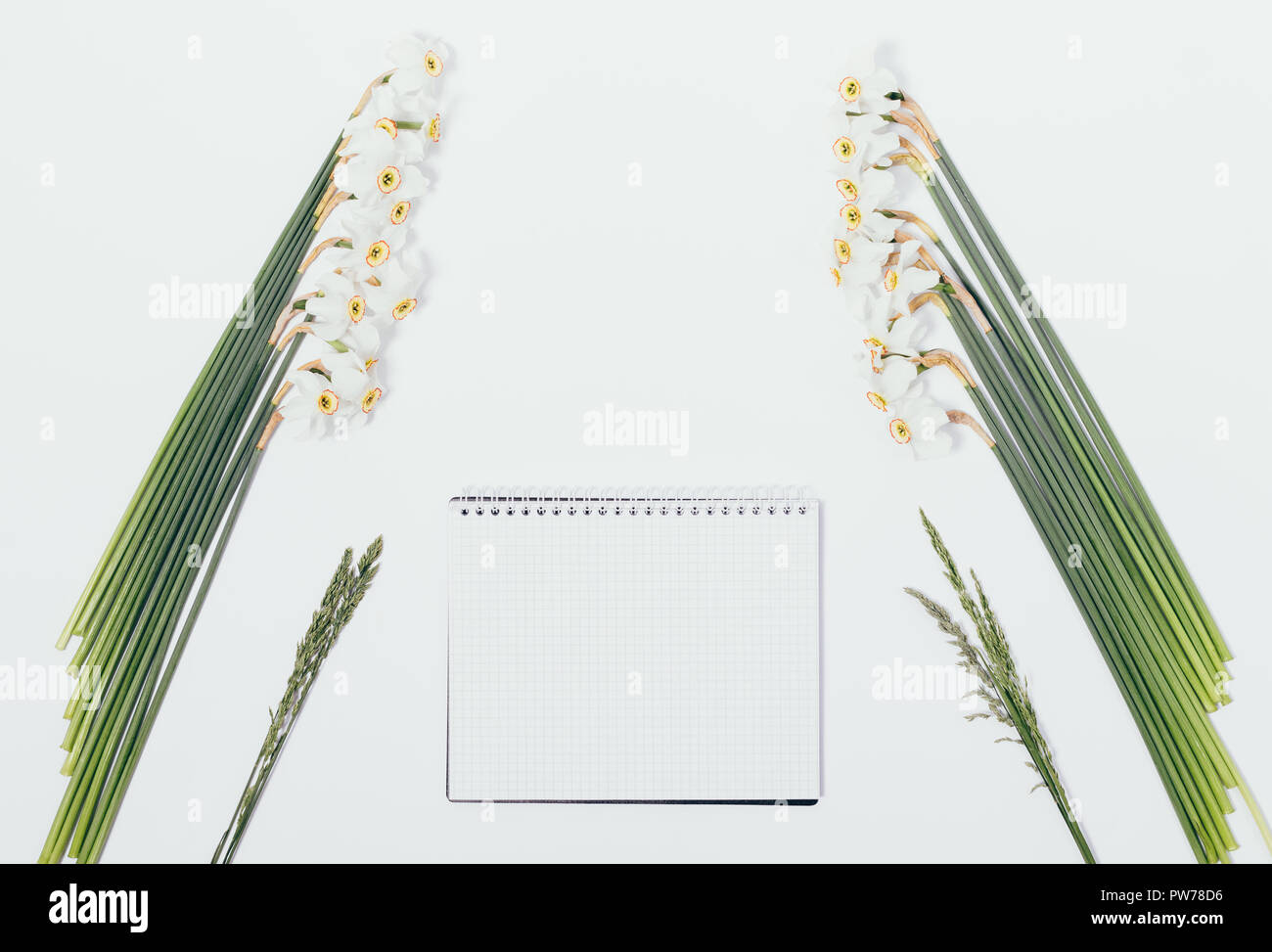 Blick von oben auf die leere notepad unter Narzissen Blumen auf weißem Hintergrund. Symmetrische floral Flachbild Layout mit leeren Blatt in der Mitte. Stockfoto