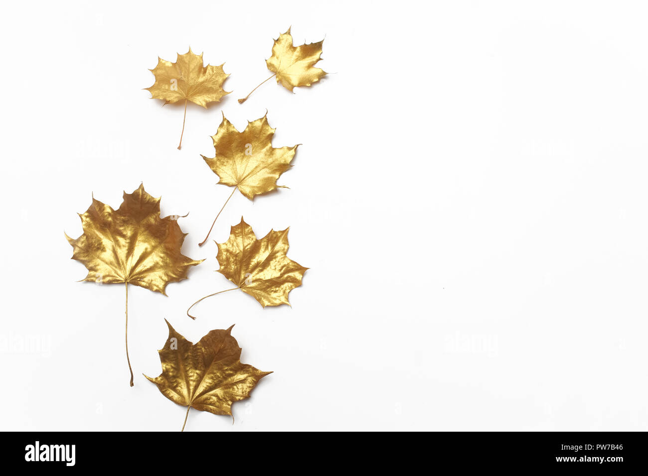 Herbst Komposition. Rahmen aus Herbst goldene Blätter auf hellgrauem Hintergrund. Flach, Ansicht von oben Stockfoto