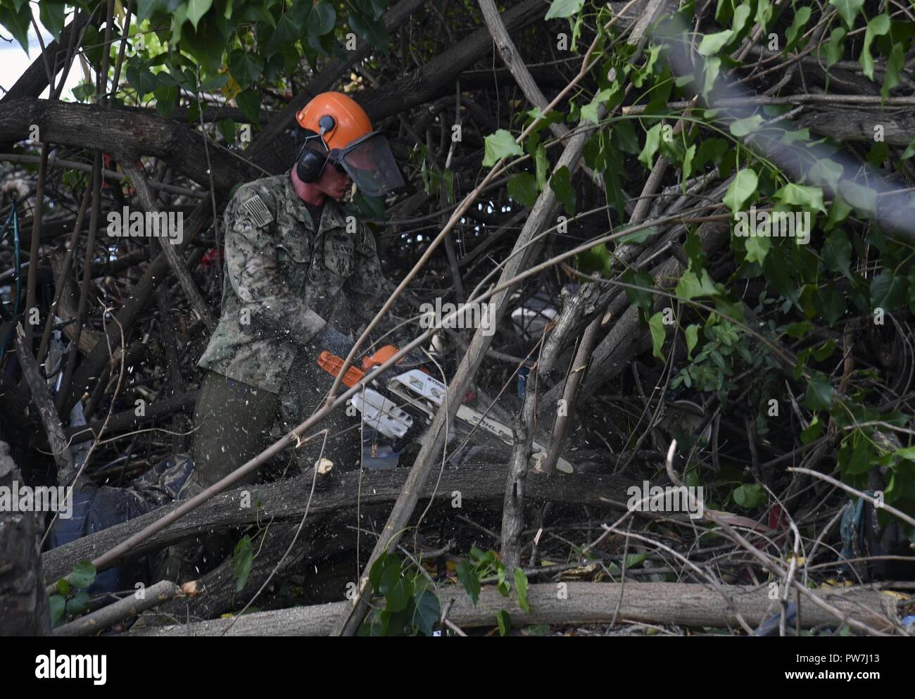 AIEA, Hawaii (Sep. 22, 2017) Bau Elektriker 2. Klasse Nathan Bush, der Marine Bau Bataillon Mobile Einheit 303 Loslösung Pearl Harbor zugeordnet, entfernt der invasiven Mangrovenbäume aus der Pearl Harbor Radweg entlang der historischen Uferpromenade von Pearl Harbor in Radevormwald, für die Phase zwei der Restaurierung der Radweg, September 22. Joint Base Pearl Harbor-Hickam und die Stadt und die Grafschaft von Honolulu haben zusammengearbeitet, um für 12 Jahre bis der Radweg und Host freiwilligen Bemühungen mindestens zweimal im Jahr zu reinigen. Stockfoto