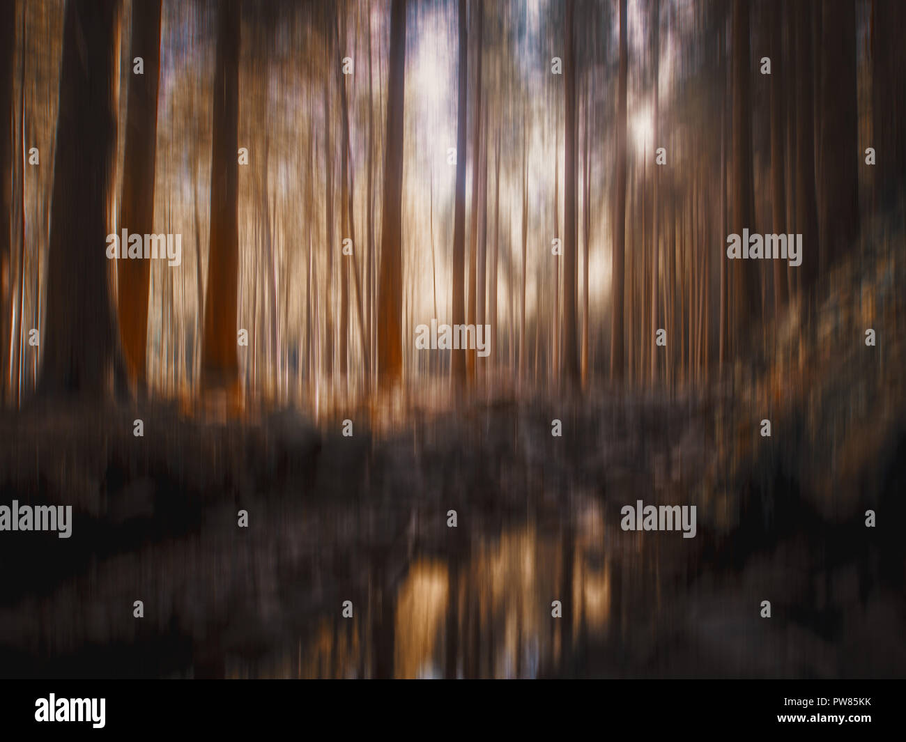 Blurry Wald Lichtung mit Wasserstrahl Reflexionen, Bäume, Holz, Wald, für den Hintergrund. Wunderschöne Natur im Herbst, Herbst. Stockfoto