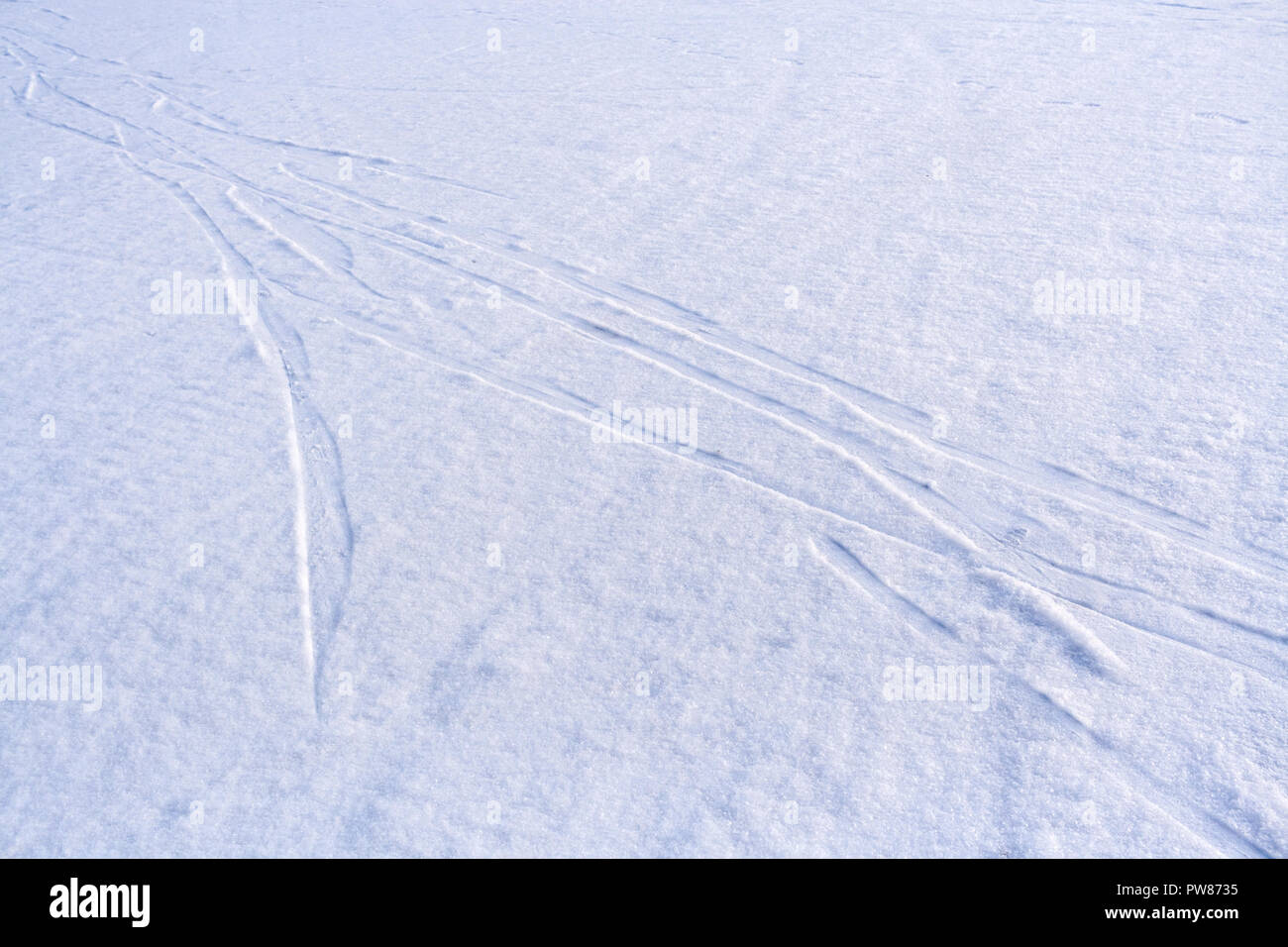 Spuren von Schlitten Läufer auf frisch gefallenen Schnee. Stockfoto