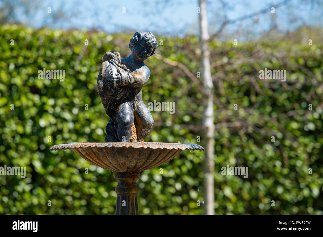 Eine Bronze vogeltränke Brunnen mit einer großen, grünen Hecke, die im Hintergrund auf dem Gelände des Rowlee Weingut in der Nähe von Orange in New South Wales, Australien Stockfoto