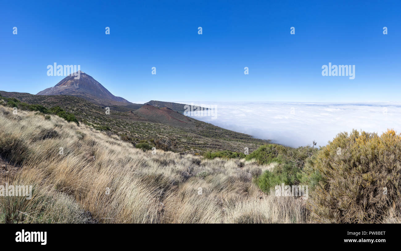 Natürliche Landschaft im Nationalpark Teneriffa Stockfoto