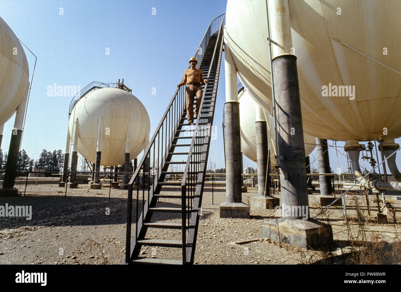 Die algier Naftec Raffinerie, einer Tochtergesellschaft von Sonatrach, einer von vier Algeriens Raffinerien. Kohlenwasserstoffe spielen eine entscheidende Rolle in der algerischen Wirtschaft, entfallen rund 60 % der Haushaltseinnahmen und über 95% der Exporterlöse. Die US-amerikanische Energy Information Administration berichtete, dass im Jahr 2005, Algerien hatte 160 Billionen Kubikfuß (TCF) der nachgewiesenen Erdgasreserven, die achtgrößte der Welt. Stockfoto