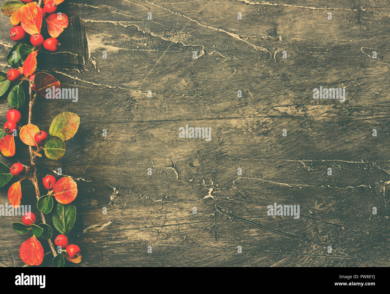 Urlaub Zweige und Beeren über rustikale Holz Hintergrund Stockfoto