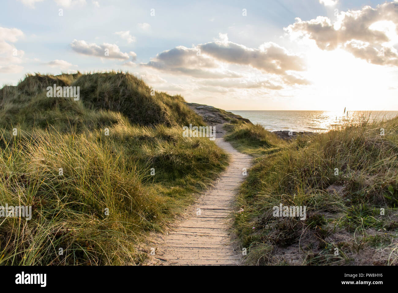 Llandwyn Insel Anglesey, Wales Stockfoto