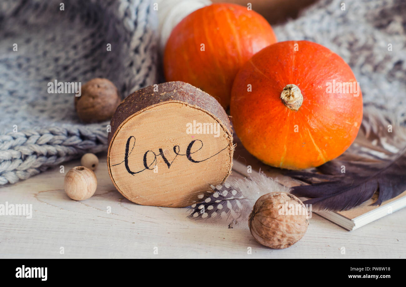 Zusammensetzung mit Kürbis, Walnüsse, Federn, Holz und Strickwaren. Herbst saisonal Foto für Thanksgiving, Halloween Stockfoto