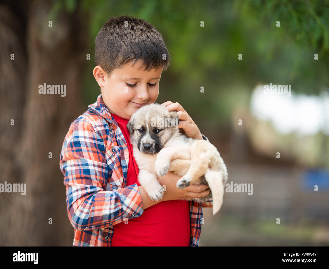 Kind umarmt einen kleinen Welpen. Kinder lieben Tiere Stockfoto