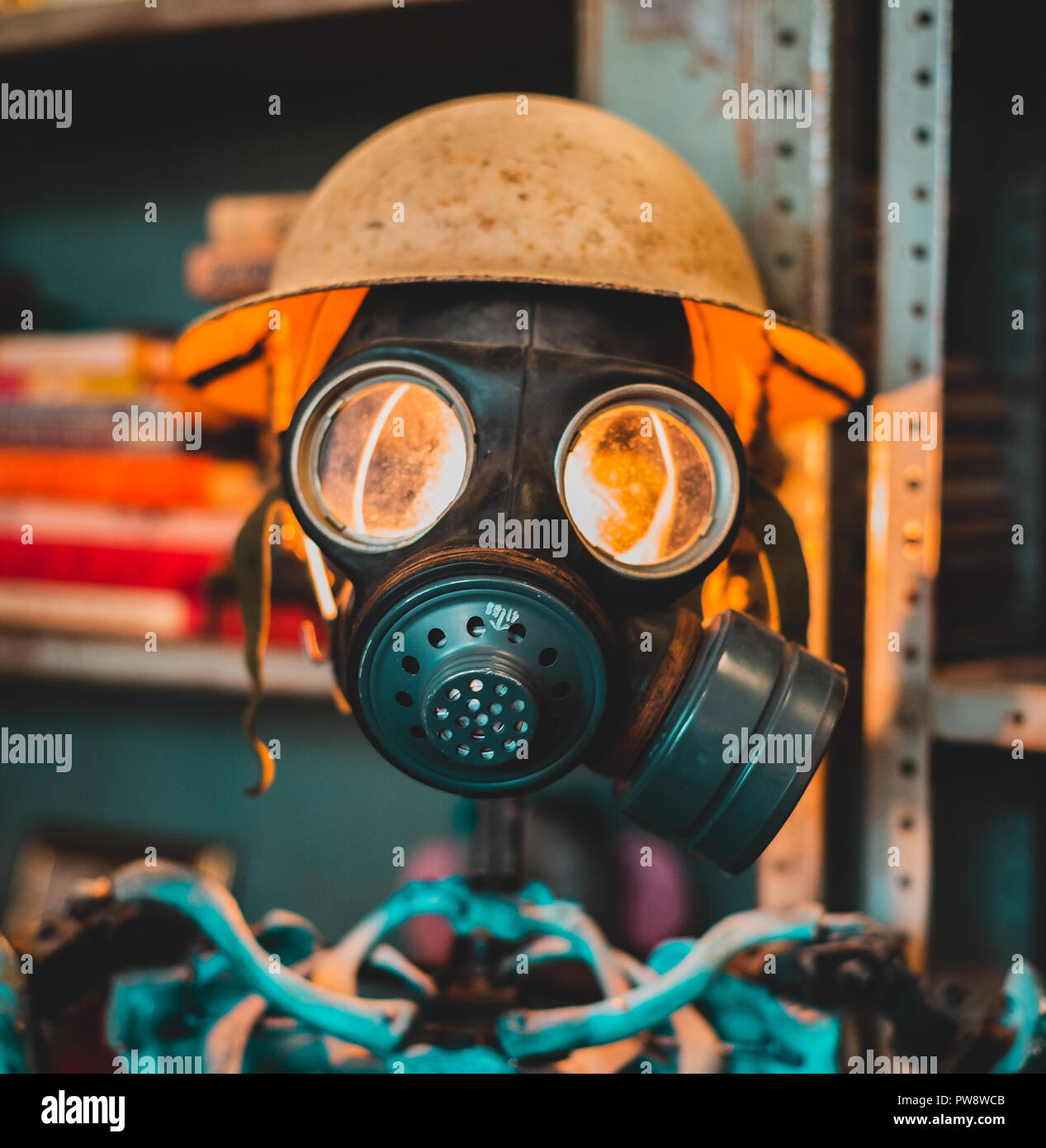 Eine Gasmaske und einem Helm von Weltkrieg 1 auf Anzeige auf ein Skelett in einem Antiquitätengeschäft in Sheffield Stockfoto