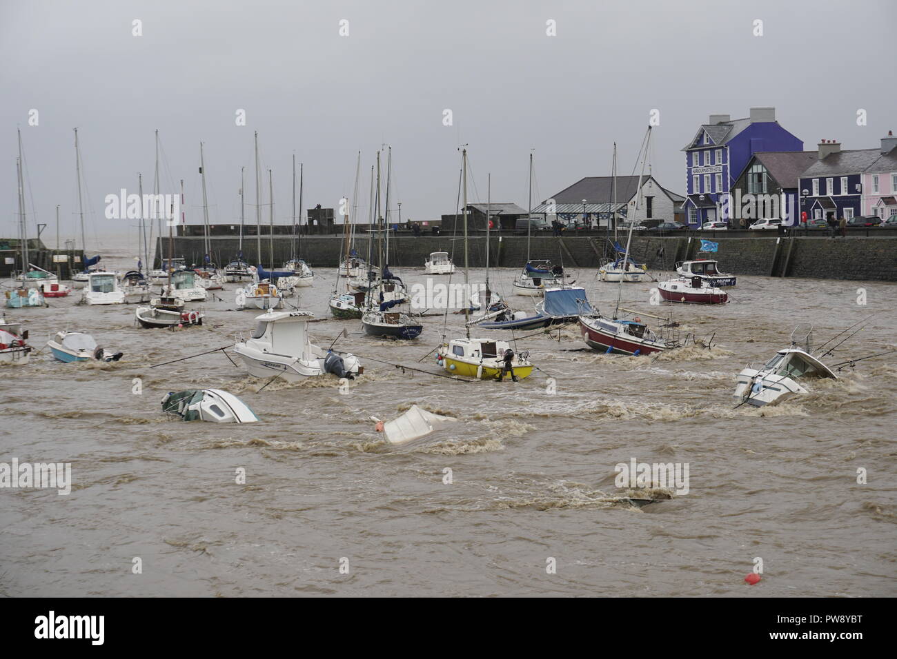 Aberaeron, UK. 13. Oktober 2018. Ein Bild der Verwüstung in Aberaeron Hafen auf der West Wales Küste am Nachmittag als schwerer Regen und starkem Wind vom Sturm Callum weiterhin Chaos zu verursachen. Flut, Wasser aus dem Fluss Aeron mit Bäumen und grossen Niederlassungen Crash in Boote es Schäden an vielen und völlig versinken. Credit: Anthony Pugh/Alamy leben Nachrichten Stockfoto