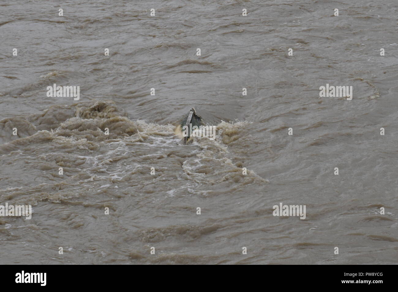 Aberaeron, UK. 13. Oktober 2018. Ein Bild der Verwüstung in Aberaeron Hafen auf der West Wales Küste am Nachmittag als schwerer Regen und starkem Wind vom Sturm Callum weiterhin Chaos zu verursachen. Flut, Wasser aus dem Fluss Aeron mit Bäumen und grossen Niederlassungen Crash in Boote es Schäden an vielen und völlig versinken. Credit: Anthony Pugh/Alamy leben Nachrichten Stockfoto