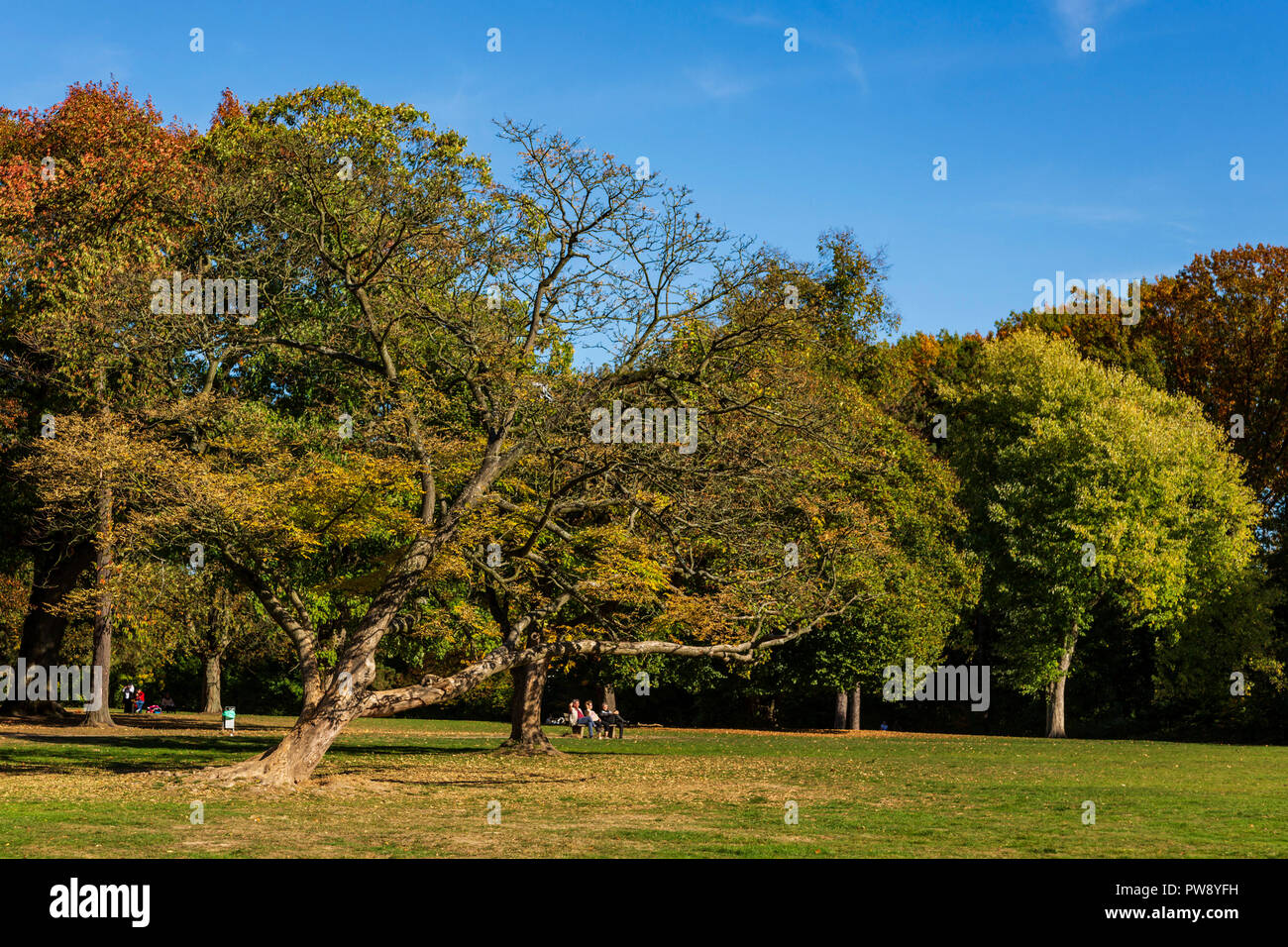 Mülheim an der Ruhr, Deutschland. 13. Oktober 2018. Die Menschen genießen eine herbstliche Hitzewelle im Witthausbusch Park. Die Unseasonal warmen und sonnigen Oktober Wetter wird voraussichtlich noch mehrere Tage dauern. Foto: Nord51/Alamy leben Nachrichten Stockfoto