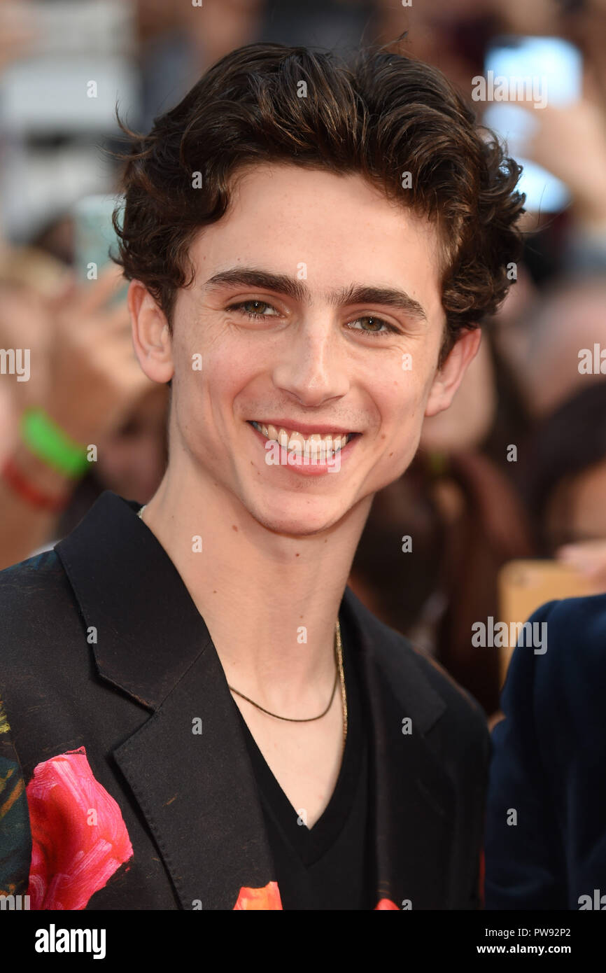 LONDON, GROSSBRITANNIEN. Oktober 13, 2018: Timothee Chalamet an der London Film Festival Screening von "schöner Junge" im Cineworld Leicester Square, London. Bild: Steve Vas/Featureflash Credit: Paul Smith/Alamy leben Nachrichten Stockfoto LONDON, GROSSBRITANNIEN. Oktober 13, 2018: Timothee Chalamet an der London Film Festival Screening von "schöner Junge" im Cineworld Leicester Square, London. Bild: Steve Vas/Featureflash Credit: Paul Smith/Alamy leben Nachrichten Stockfoto