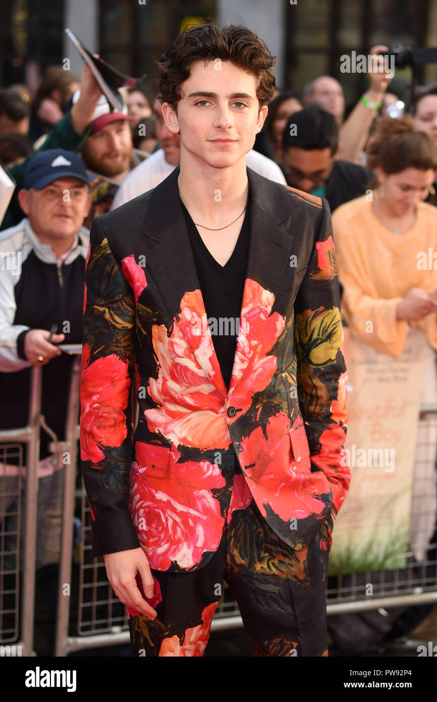 LONDON, GROSSBRITANNIEN. Oktober 13, 2018: Timothee Chalamet an der London Film Festival Screening von "schöner Junge" im Cineworld Leicester Square, London. Bild: Steve Vas/Featureflash Credit: Paul Smith/Alamy leben Nachrichten Stockfoto LONDON, GROSSBRITANNIEN. Oktober 13, 2018: Timothee Chalamet an der London Film Festival Screening von "schöner Junge" im Cineworld Leicester Square, London. Bild: Steve Vas/Featureflash Credit: Paul Smith/Alamy leben Nachrichten Stockfoto
