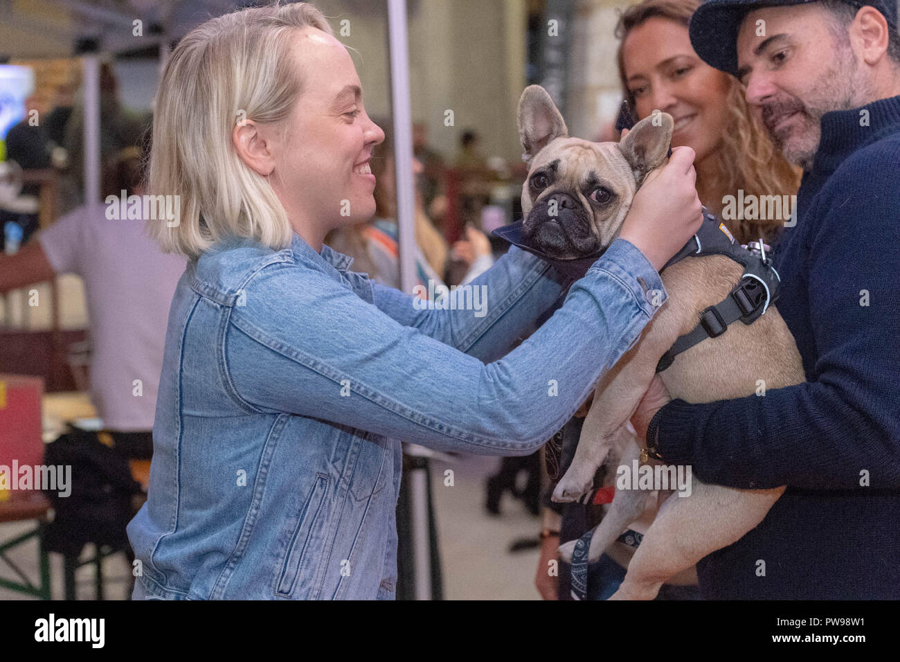 London, Großbritannien. 14. Oktober 2018. Ein 'doggy Style', bei dem die neueste Mode, hip und trendy Marken der Hund Zubehör ein Hund versucht, ein neues Zubehör ausgestattet. Kredit Ian Davidson/Alamy leben Nachrichten Stockfoto