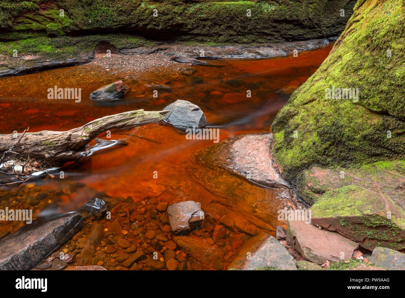 Blood Red River in einem grünen Schlucht. Devil's Kanzel, Finnich Glen, in der Nähe von Killearn, Schottland, Vereinigtes Königreich Stockfoto